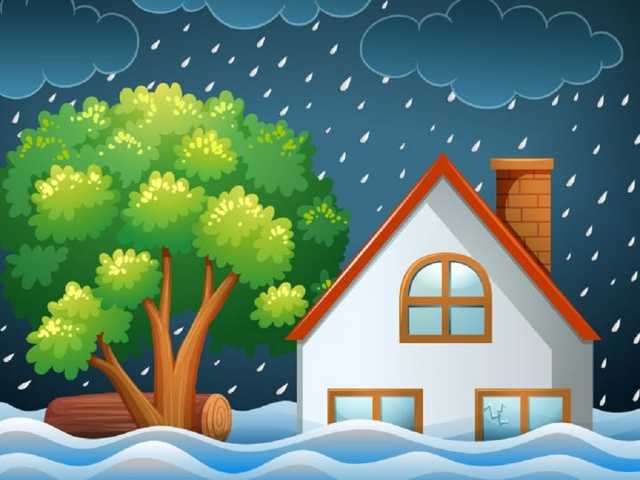 Search image article