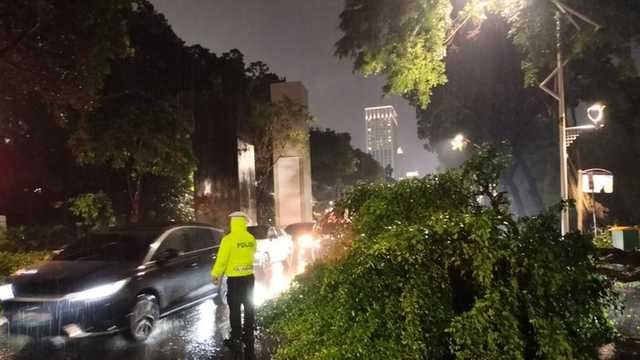 Search image article