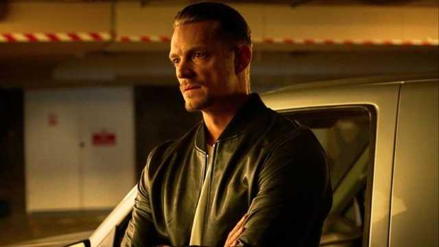 Search image article