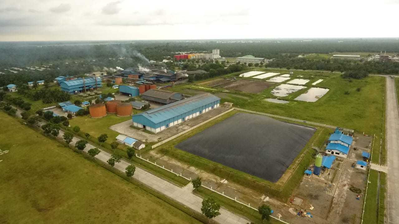 Search image article