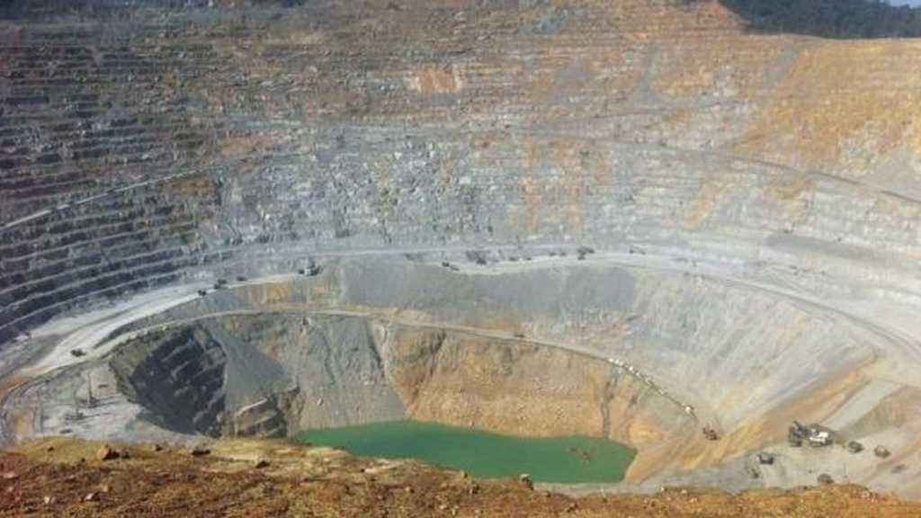 Search image article