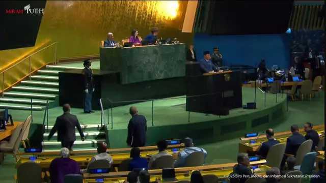 Search image article