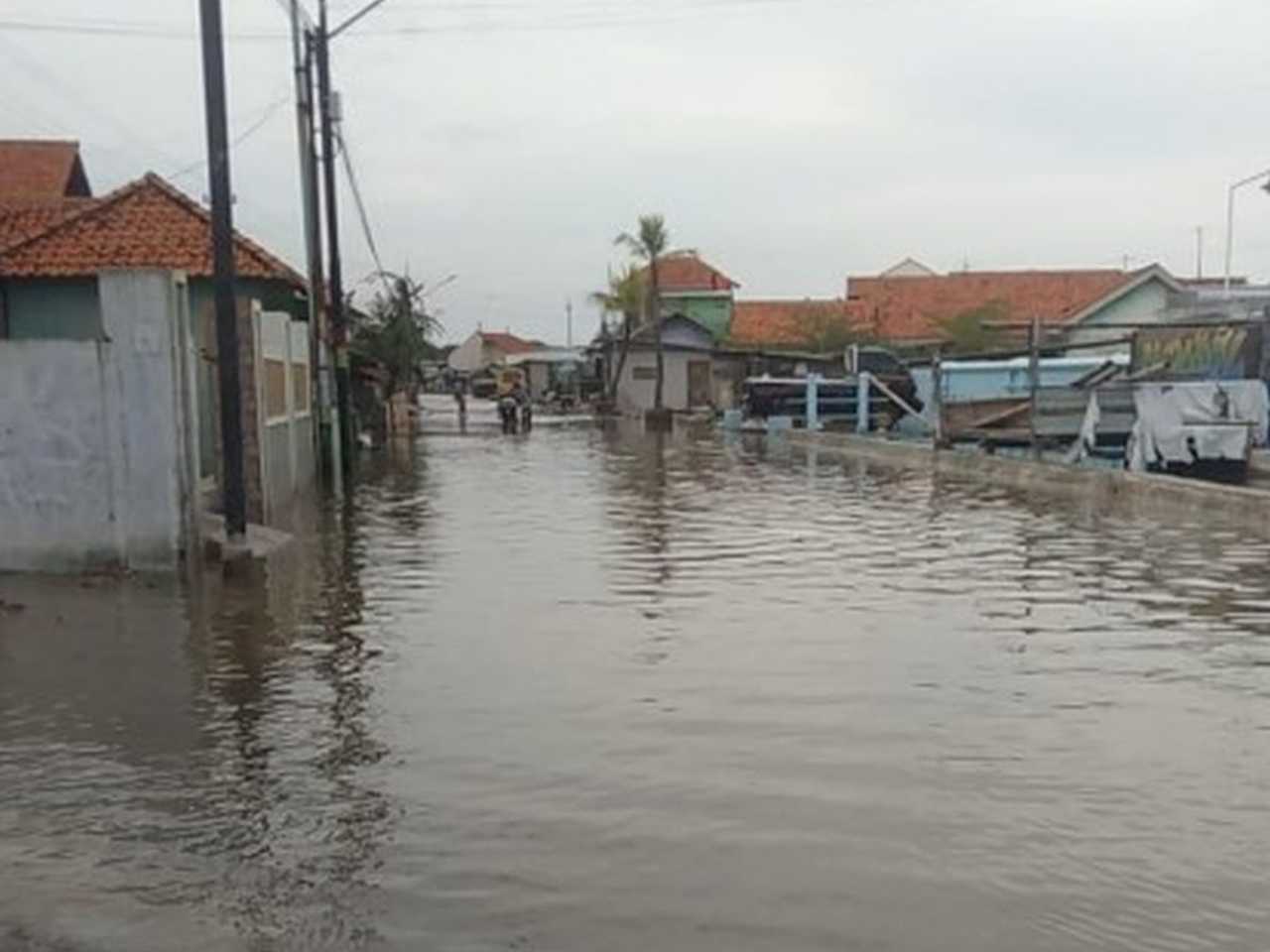 Search image article