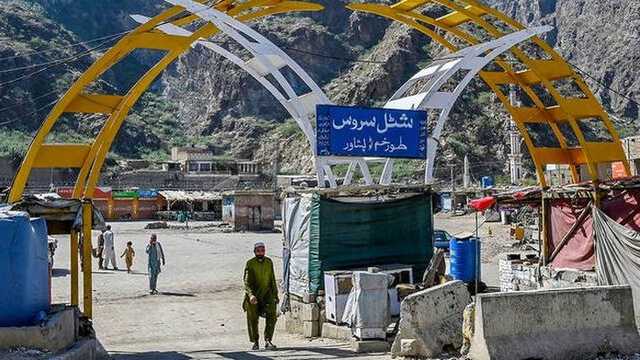 Search image article