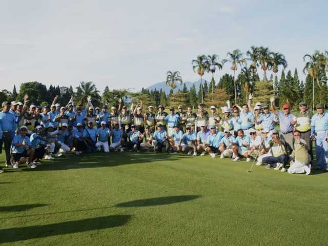 Search image article