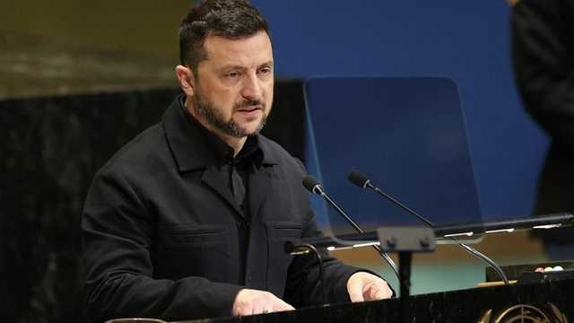 Search image article