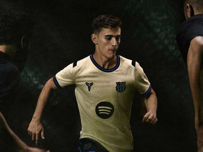 Search image article