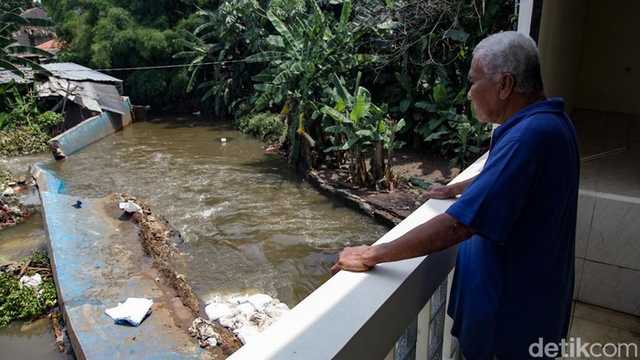 Search image article