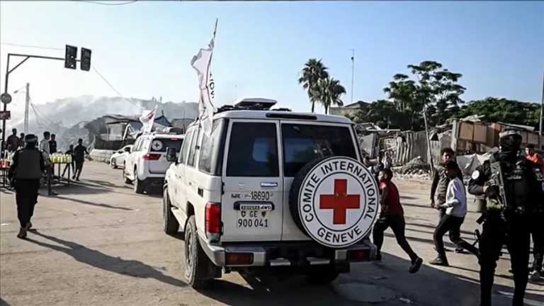 Search image article