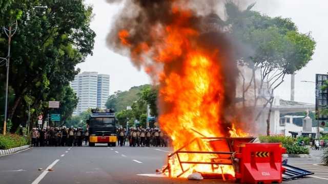 Search image article