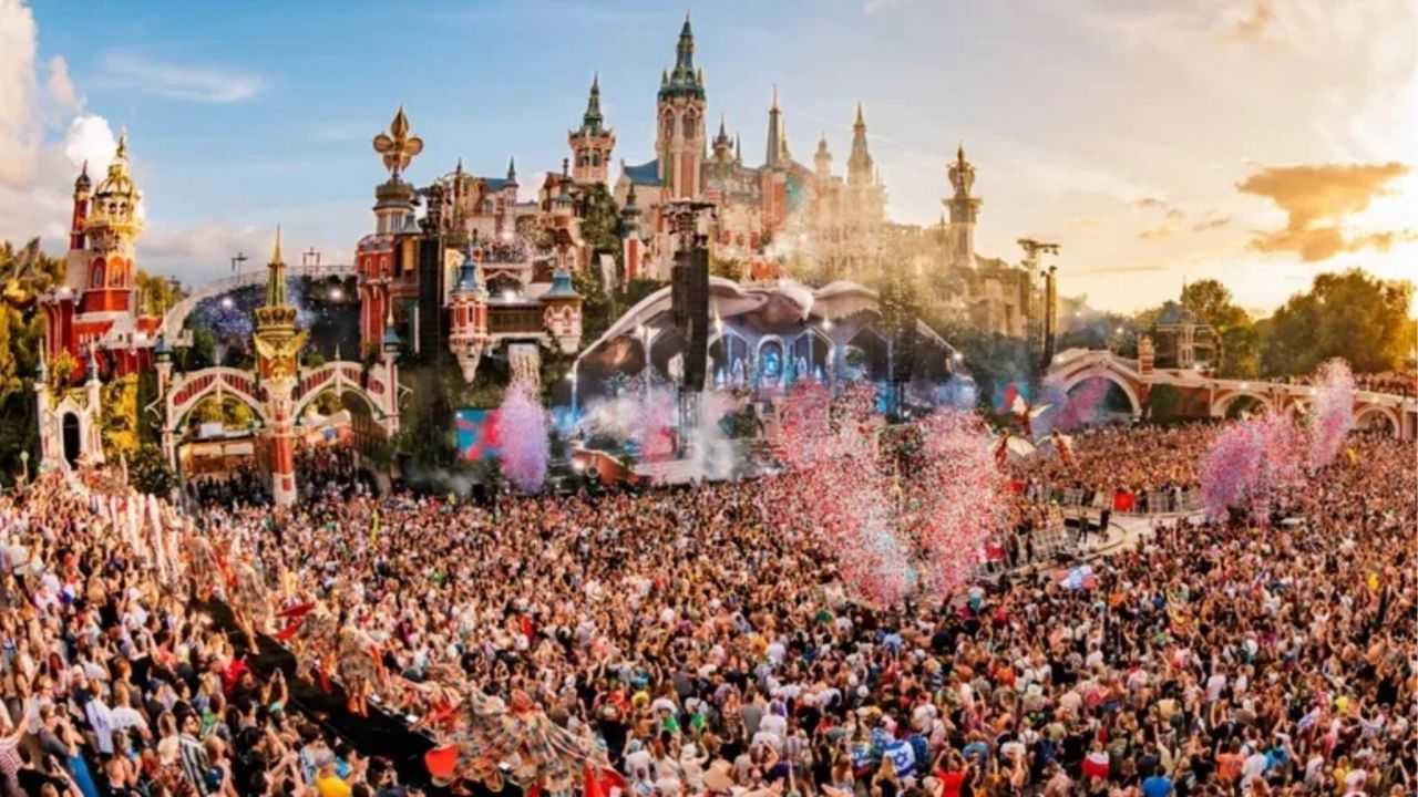 Search image article