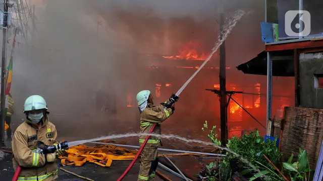 Search image article