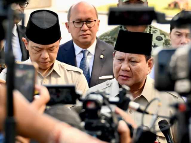 Search image article