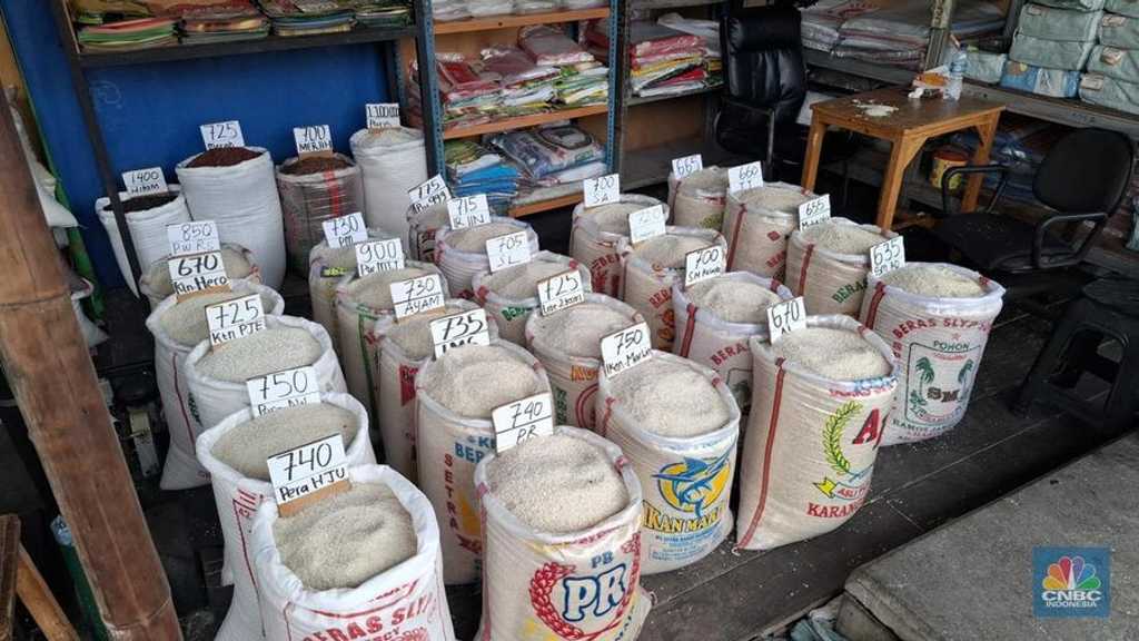 Search image article