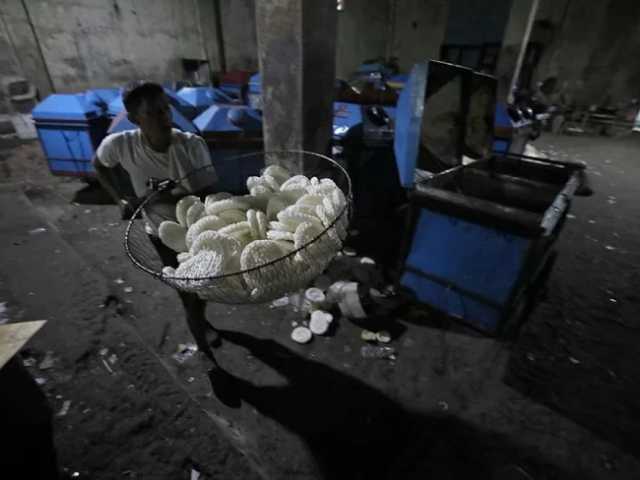 Search image article