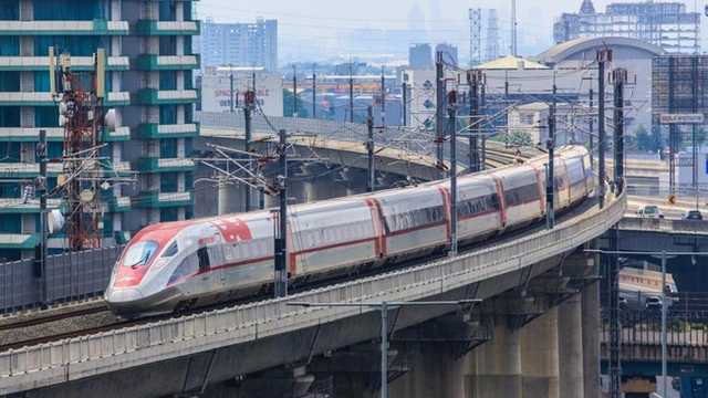 Search image article