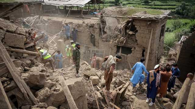 Search image article