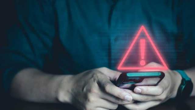 Search image article