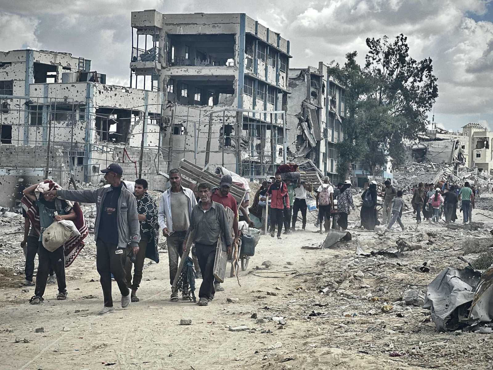 Search image article