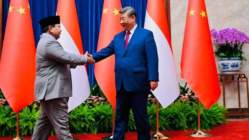 Search image article