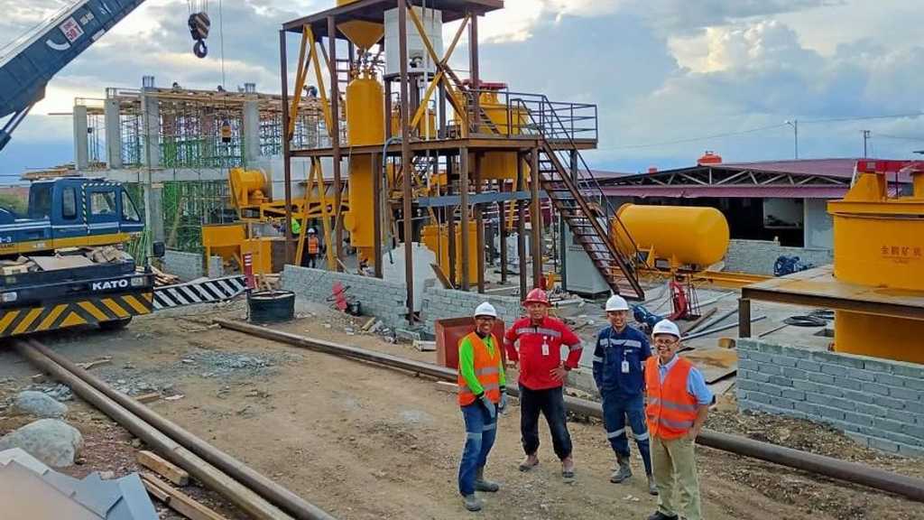 Search image article