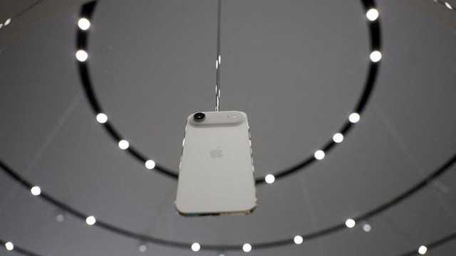 Search image article