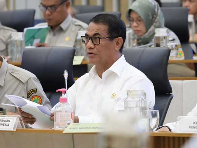 Search image article