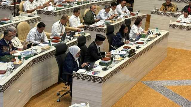 Search image article