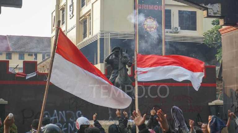 Search image article