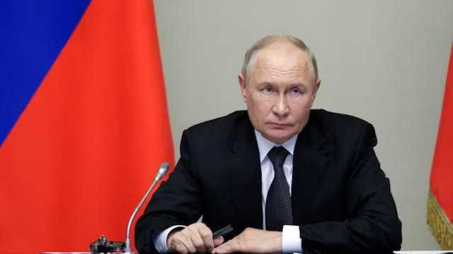 Search image article