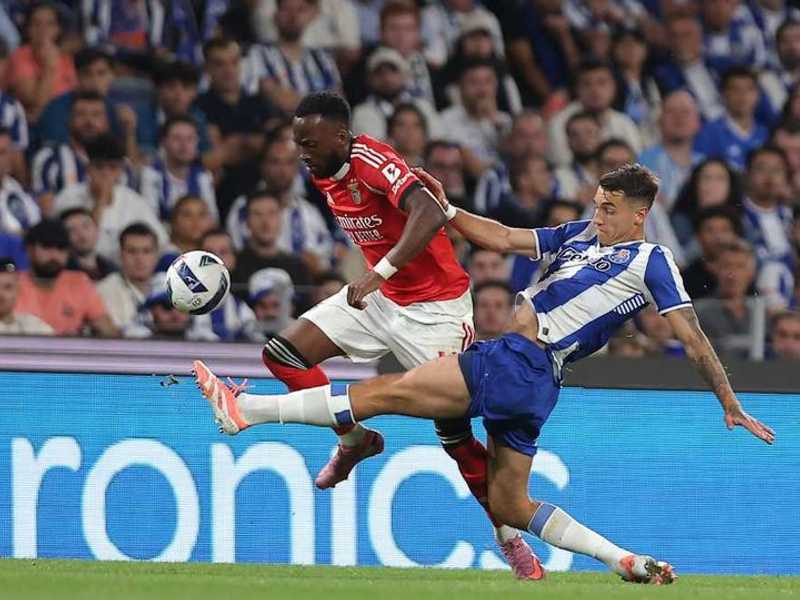 Search image article