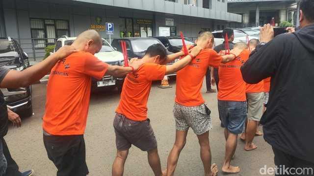 Search image article