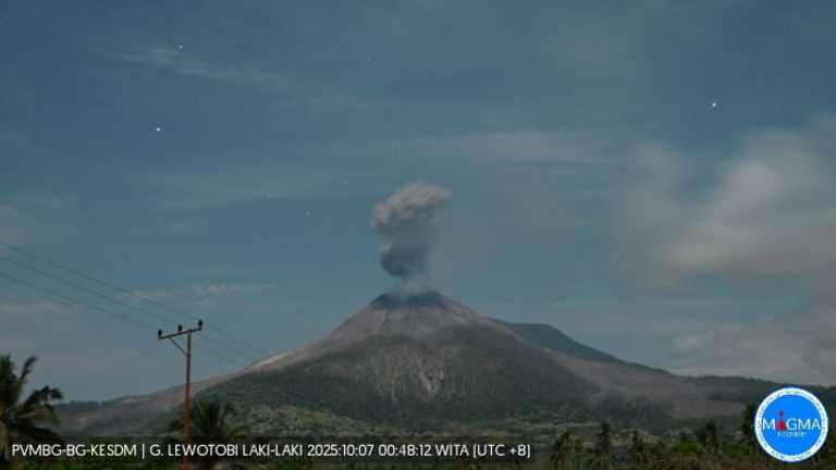 Search image article