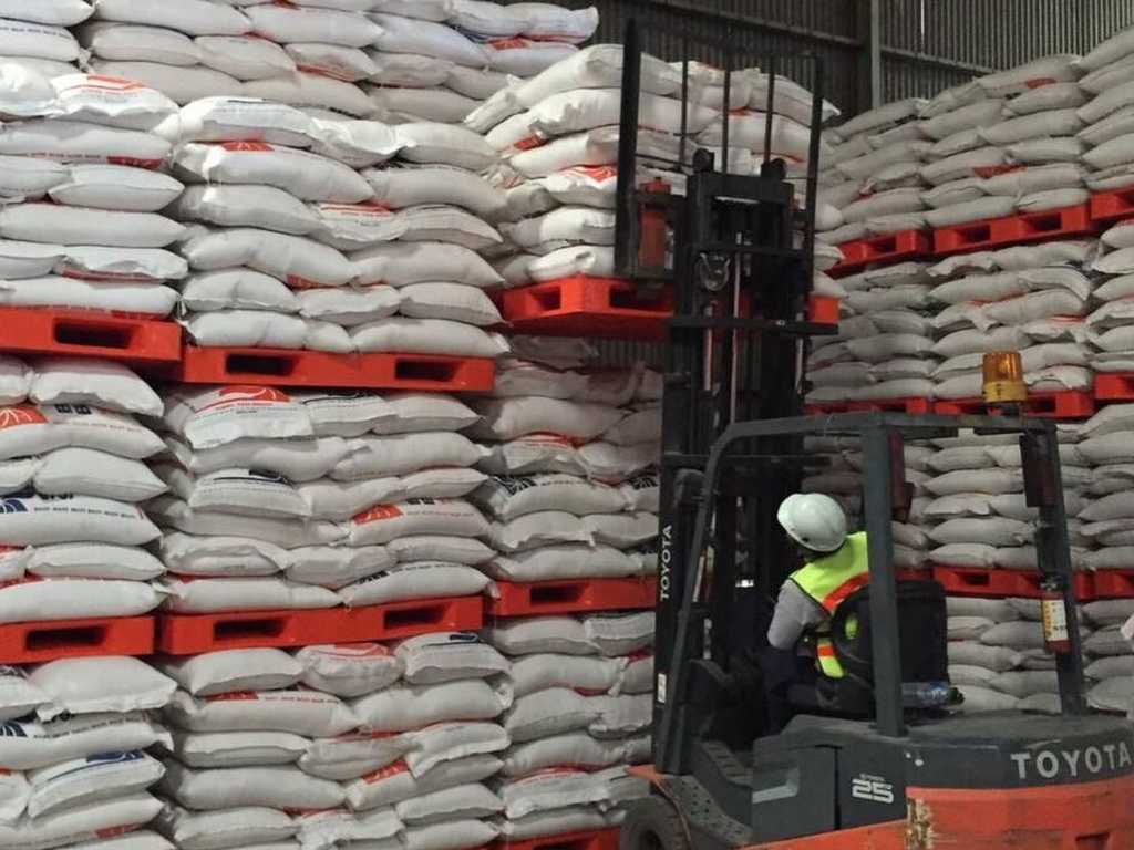 Search image article