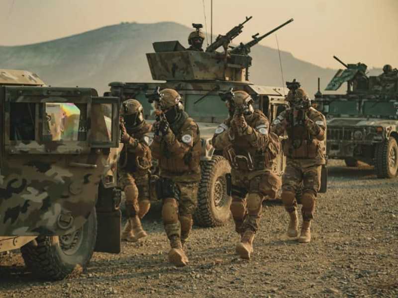 Search image article