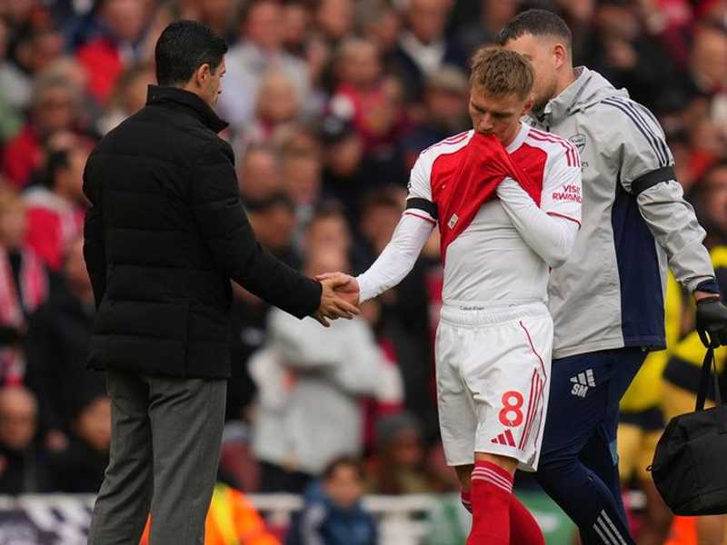 Search image article