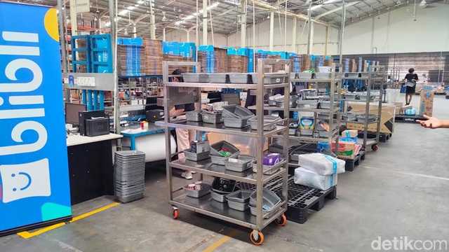 Search image article