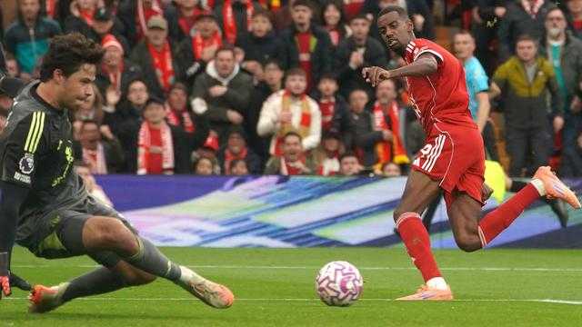 Search image article