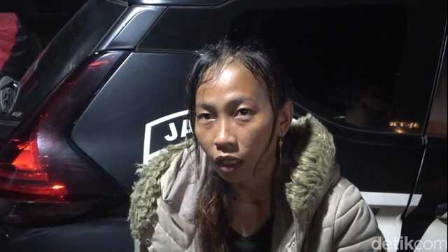 Search image article