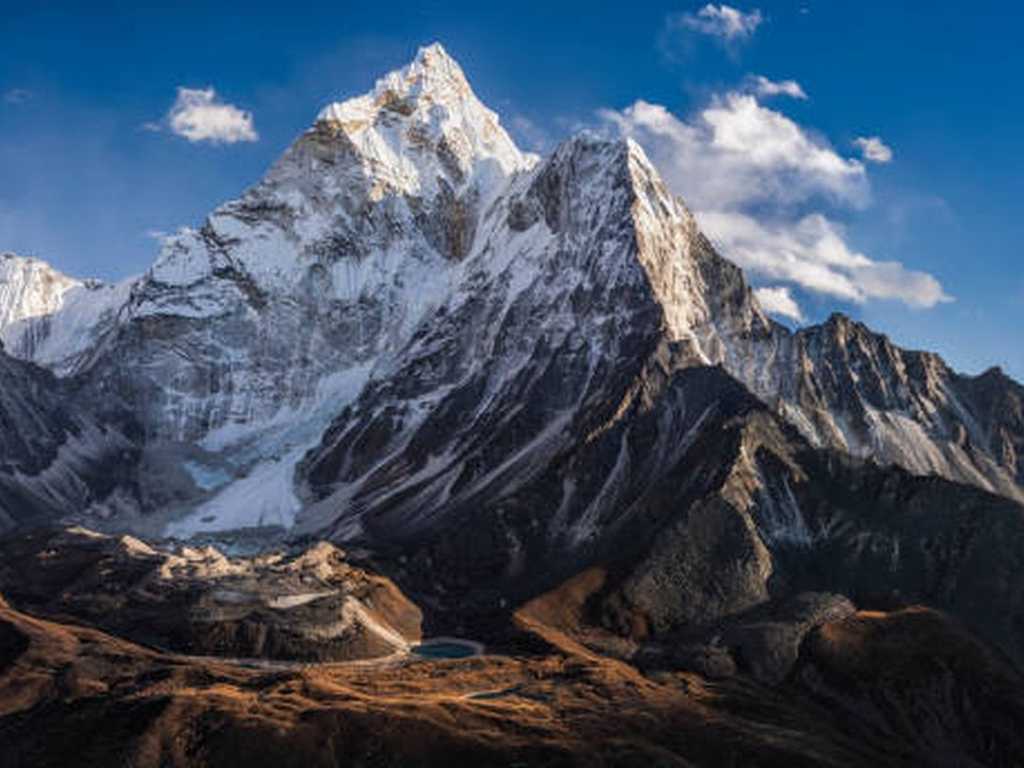 Search image article