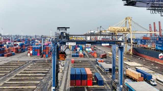 Search image article