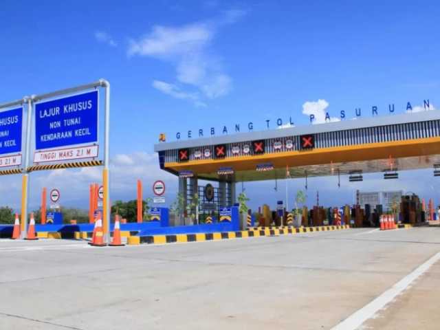 Search image article