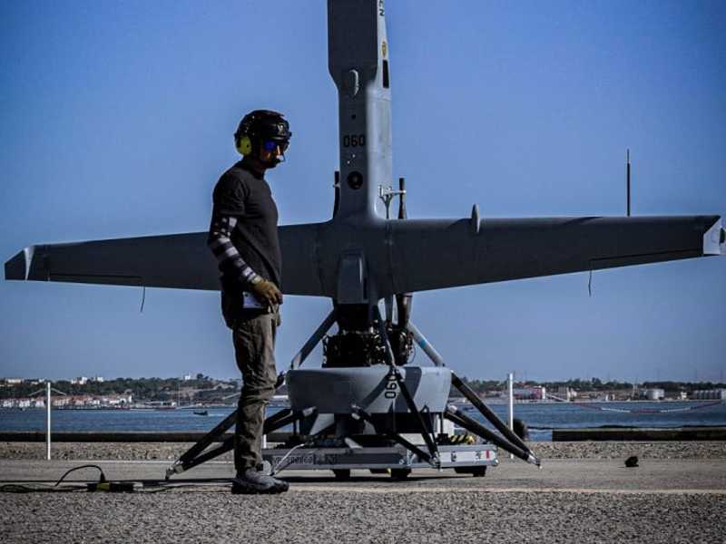 Search image article