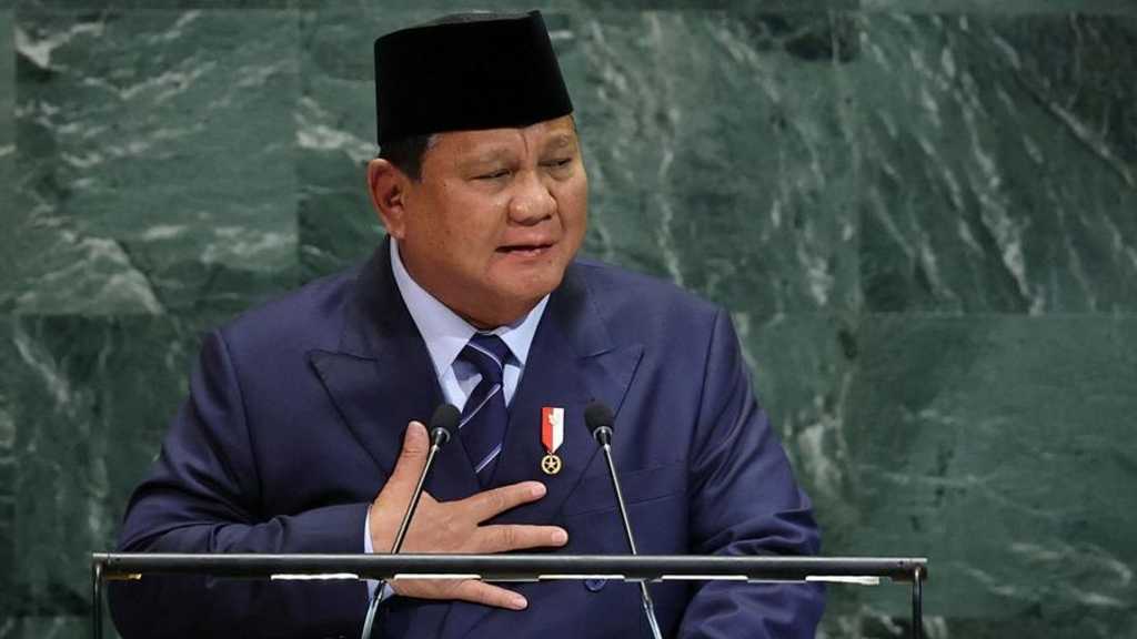 Search image article