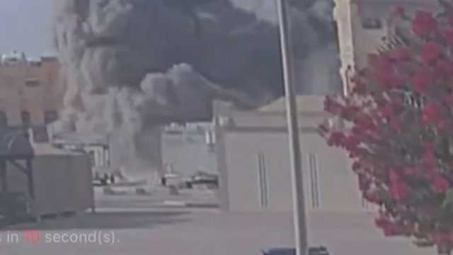 Search image article