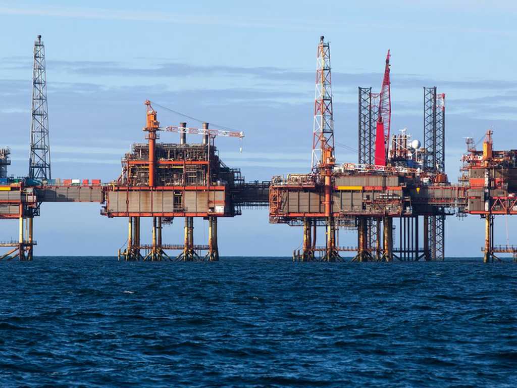 Search image article