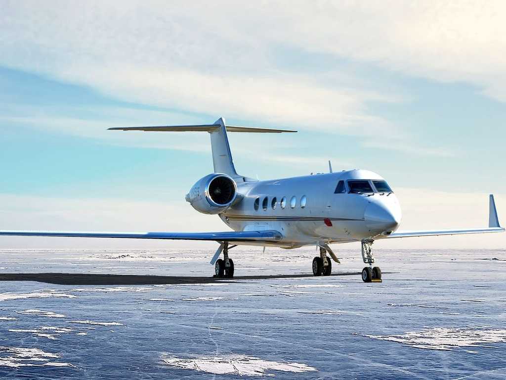 Search image article