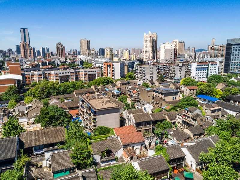 Search image article