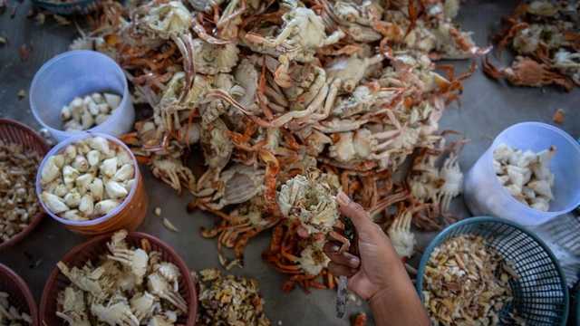 Search image article