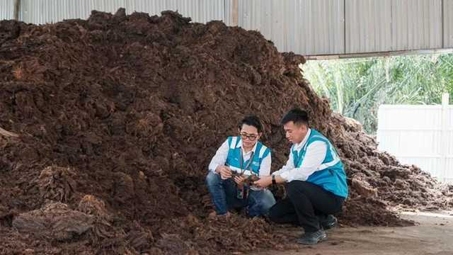 PLN EPI Targetkan 3 Juta Ton Biomassa, Tekan Emisi 3,3 Juta Ton CO2e